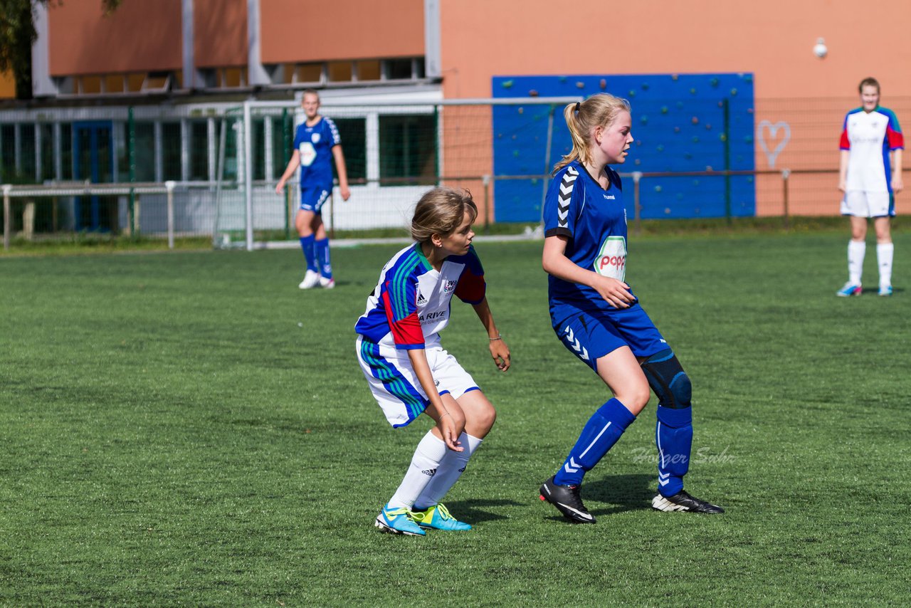 Bild 236 - B-Juniorinnen SV Henstedt Ulzburg - FSC Kaltenkirchen : Ergebnis: 3:2